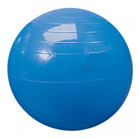 65cm Gymnic Egzersiz Topu