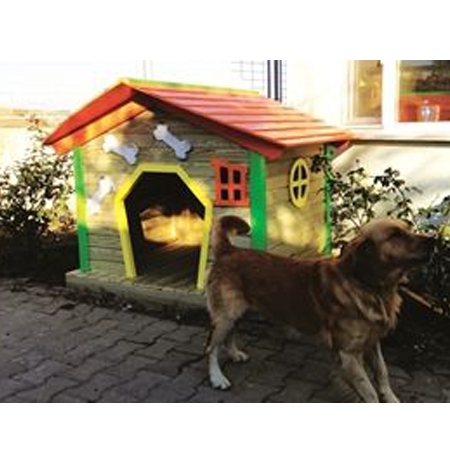 Köpek Klübesi
