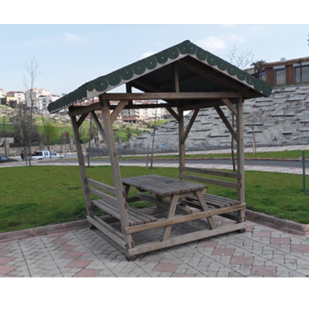 Masalı Küçük Kamelya