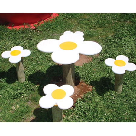 Papatya Piknik Takımı