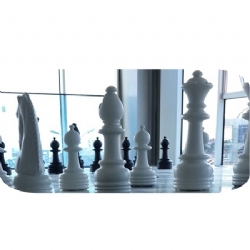 Bahçe Satrancı Takımı