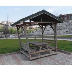 Masalı Küçük Kamelya