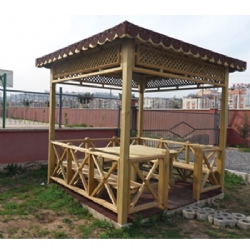 Piknik Masalı Kamelya